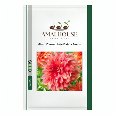 Giant Dinnerplate Dahlia - 50 PCS Seeds