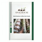 Giant Bamboo Coffee Color - 50 PCS Seeds