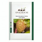 Giant Strawberry Yellow Color - 300 PCS Seeds
