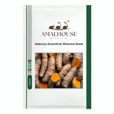 Glabrous Greenbrier Rhizome - 50 PCS Seeds