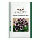 Gloxinia 2 Colors Available - 100 PCS Seeds