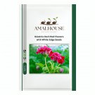 Gloxinia Dark Red Flowers with White Edge - 100 PCS Seeds