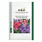 Gloxinia Mixed Purple Red Black Pink ect 8 Colors - 100 PCS Seeds
