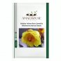 Golden Yellow Rare Camellia Nitidissima Bonsai - 50 PCS Seeds