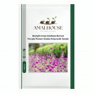 Gomphrenae Globosa Bonsai, Purple Flower Globe Amaranth - 100 PCS Seeds