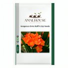 Gorgeous clivia (Kaffir Lily) - 100 PCS Seeds