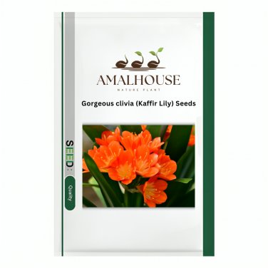 Gorgeous clivia (Kaffir Lily) - 100 PCS Seeds