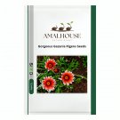Gorgeous Gazania Rigens - 100 PCS Seeds