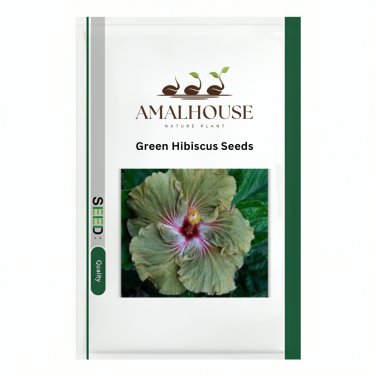 Green Hibiscus - 100 PCS Seeds