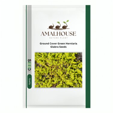 Ground Cover Green Herniaria Glabra - 100 PCS Seeds