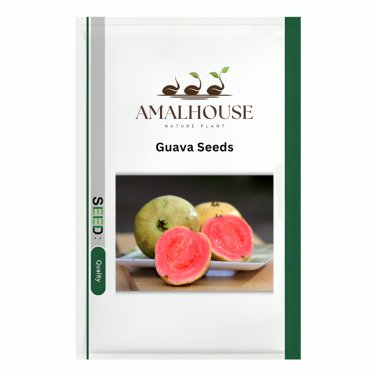 Guava - 100 PCS Seeds