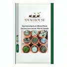 Gymnocalycium Mixed Rare Cactus Succulent Plants - 10 PCS Seeds