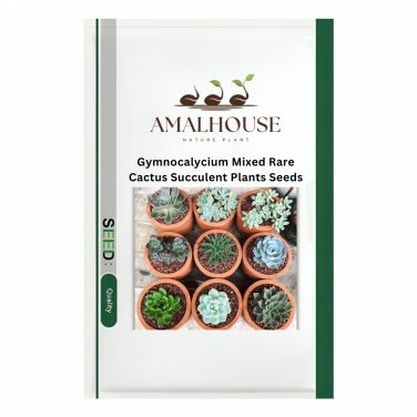 Gymnocalycium Mixed Rare Cactus Succulent Plants - 10 PCS Seeds