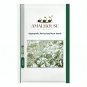 Gypsophila Paniculata Plant - 100 PCS Seeds