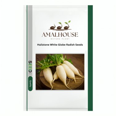 Hailstone White Globe Radish - 700 PCS Seeds