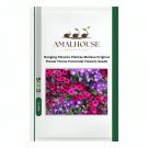 Hanging Petunia Plantas Melissa Original Flower Flores Perennial Flowers - 100 PCS Seeds