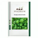 Hanging Sedum - 100 PCS Seeds