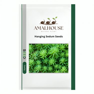 Hanging Sedum - 100 PCS Seeds
