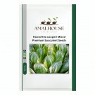 Haworthia cooperi Mixed Premium Succulent - 20 PCS Seeds