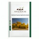 Heirloom Populus Euphratica - 50 PCS Seeds