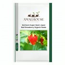 Heirloom Super Giant Japan Red Strawberry Organic - 600 PCS Seeds