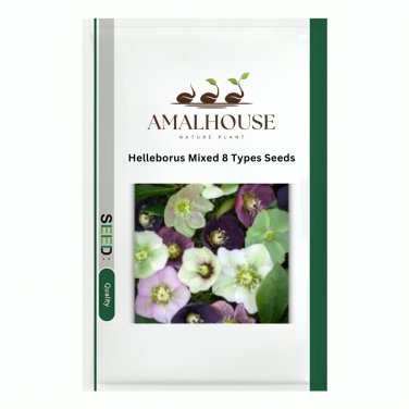 Helleborus Mixed 8 Types - 100 PCS Seeds