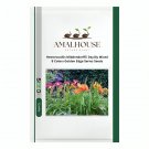 Hemerocallis Middendorffii Daylily Mixed 9 Colors Golden Edge Series - 100 PCS Seeds
