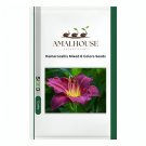 Hemerocallis Mixed 6 Colors - 100 PCS Seeds