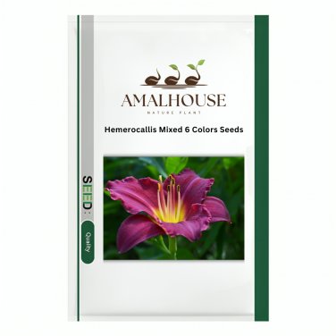 Hemerocallis Mixed 6 Colors - 100 PCS Seeds