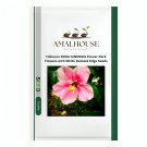 Hibiscus ROSA-SINENSIS Flower Dark Flowers with White Damask Edge - 200 PCS Seeds