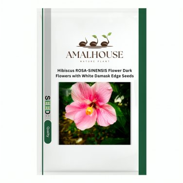 Hibiscus ROSA-SINENSIS Flower Dark Flowers with White Damask Edge - 200 PCS Seeds