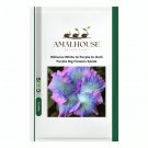 Hibiscus White to Purple to Dark Purple Big Flowers - 100 PCS Seeds