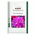 Hosta Available - 200 PCS Seeds