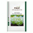 Hosta Flower Perennials white - 100 PCS Seeds