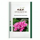 Hosta Rose Pink Leaves - 200 PCS Seeds