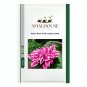 Hosta Rose Pink Leaves - 200 PCS Seeds