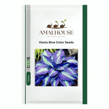 Hosta Blue Color - 200 PCS Seeds