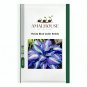 Hosta Blue Color - 200 PCS Seeds