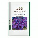 Hosta Purple Round Leaves - 200 PCS Seeds