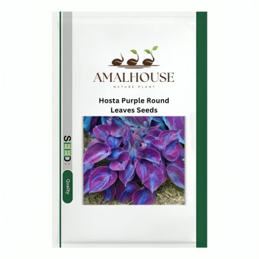Hosta Purple Round Leaves - 200 PCS Seeds