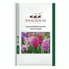 Hyacinth Mixed Colorful Flowers - 300 PCS Seeds