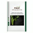 Hybrid Celery Garden Green Chinese Vegetables - 10000 PCS Seeds