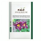 Hybrid Daylily Flowers Blackish Purple Double Flowers with White Edge - 120 PCS Seeds