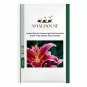 Hybrid Daylily Flowers Light Pink Rose Red Green Triple Double Flowers - 100 PCS Seeds
