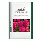 Hydrangea Bonsai Flower Mixed Blue Pink Red Flowers - 100 PCS Seeds