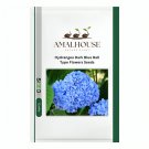 Hydrangea Dark Blue Ball Type Flowers - 50 PCS Seeds