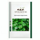 Hydrocotyle Vulgaris - 100 PCS Seeds