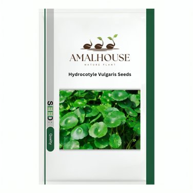 Hydrocotyle Vulgaris - 100 PCS Seeds