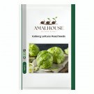 Iceberg Lettuce Head - 1000 PCS Seeds
