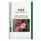 Impatiens balsamina Light Pink Double Flowers  - 50 PCS Seeds